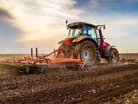 عنصر فلتر زيت التشحيم / زيت المحرك