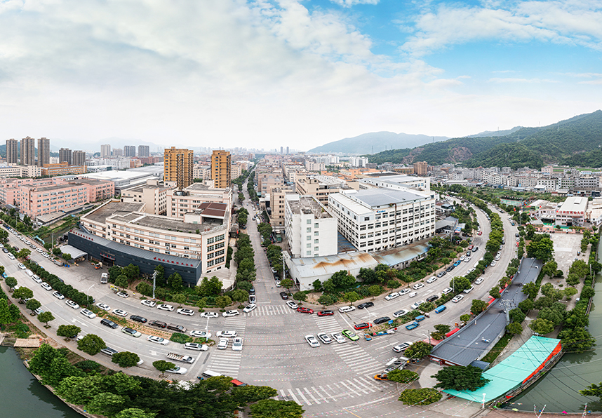 نبذة عن الشركة